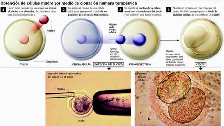 LA REVOLUCIÓN DE LA CLONACIÓN