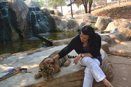 Día 12: Mercado Flotante Dumnoen Saduak, Río Kwai y visita al Templo de los Tigres. Día 12: Mercado Flotante Dumnoen Saduak, Río Kwai y visita al Templo de los Tigres.