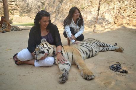 Día 12: Mercado Flotante Dumnoen Saduak, Río Kwai y visita al Templo de los Tigres. Día 12: Mercado Flotante Dumnoen Saduak, Río Kwai y visita al Templo de los Tigres.