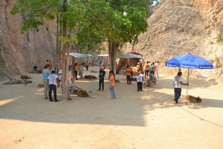 Día 12: Mercado Flotante Dumnoen Saduak, Río Kwai y visita al Templo de los Tigres. Día 12: Mercado Flotante Dumnoen Saduak, Río Kwai y visita al Templo de los Tigres.