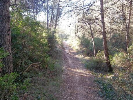 I GARRAF EXTREM I GARRAF EXTREM