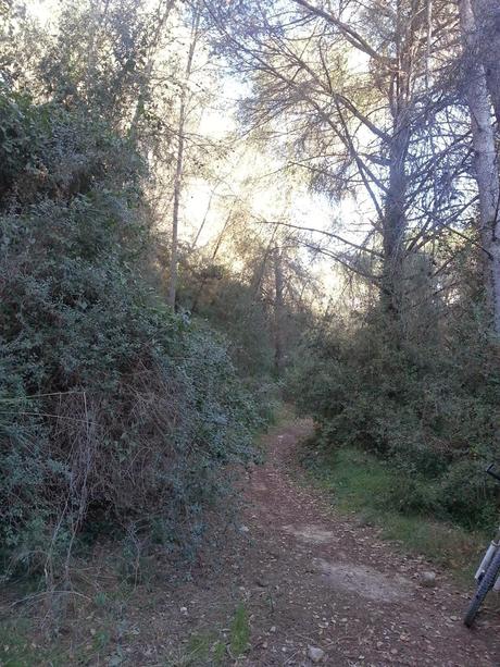 I GARRAF EXTREM I GARRAF EXTREM