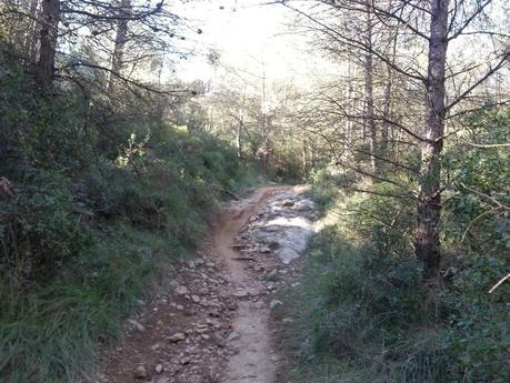 I GARRAF EXTREM I GARRAF EXTREM