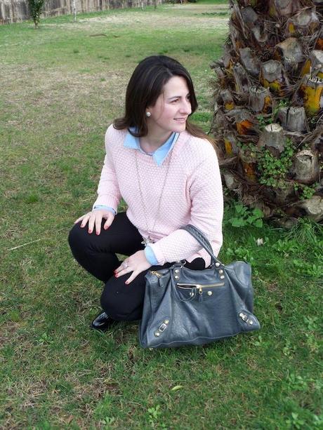 white winter white winter