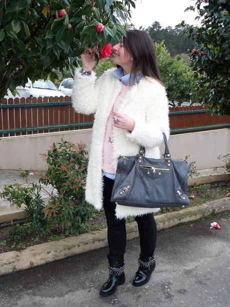 white winter white winter