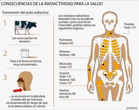 ¿SABÍAS QUE EL SER HUMANO ES RADIACTIVO?