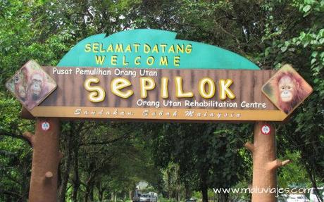 Destino 2014: Malasia sepilok