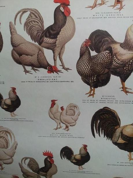 Taller Caja-Botellero. Taller Caja-Botellero.