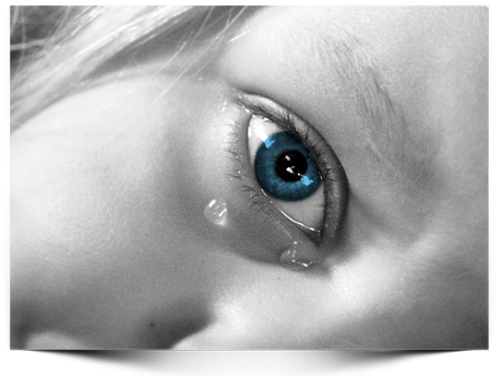 ¿Déjalo que se caiga, así aprende! ¿Déjalo que se caiga, así aprende!