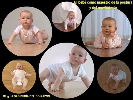 El bebé como maestro de la postura y del movimiento El bebé como maestro de la postura y del movimiento