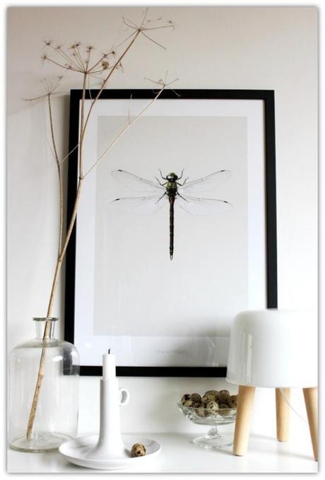 Milk Lamp lamparamilk1