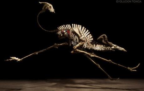 Álvaro Soler Arpa, “Cascos, Craniums y Evoluciones Tóxicas” 1_antrilope-perf-sin-peana-web2