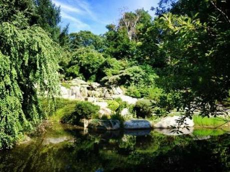 PicsArt_1394049356588.jpg image