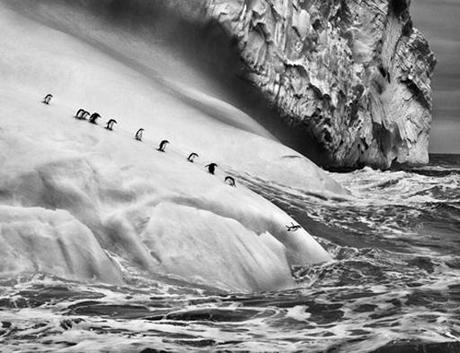 Salgado Foto RECOMENDACIONES FIN DE SEMANA (7-9 MARZO) MADRID