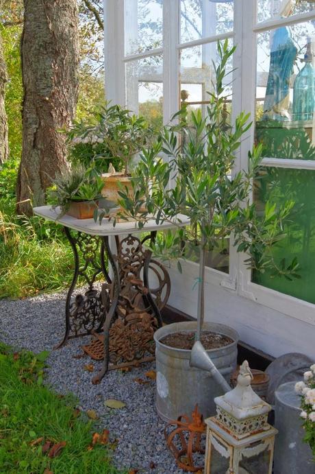 Algún día serás mía Algún día serás mía