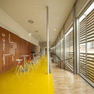 CENTRO CULTURAL DE CASTELO BRANCO 15 CENTRO CULTURAL DE CASTELO BRANCO 15