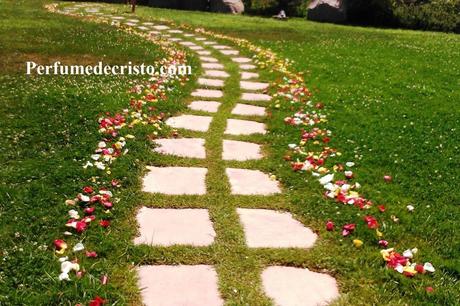 “CUANDO YO ME VAYA”… mosaicos