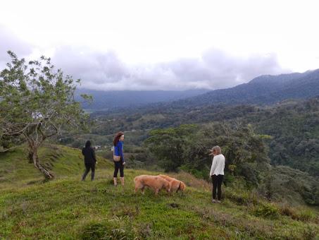 Enseñanzas y revelaciones de un viaje Enseñanzas y revelaciones de un viaje