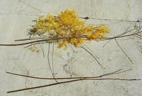 Tutorial para hacer un arco artesanal con ramas Tutorial para hacer un arco artesanal con ramas