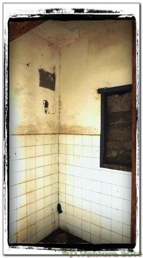 La Casa de los Okupas La Casa de los Okupas