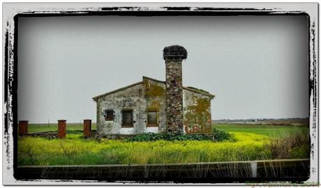 La Casa de los Okupas La Casa de los Okupas