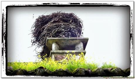 La Casa de los Okupas La Casa de los Okupas