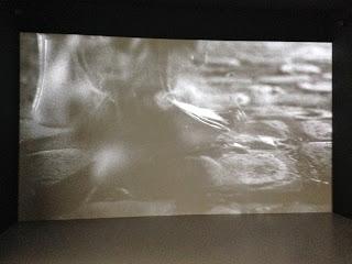 Adel Abbdesamed. L'age D'or. IMG 0895