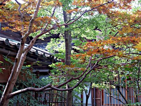 Kanazawa: Jardines, geishas, samuráis y artesanía
