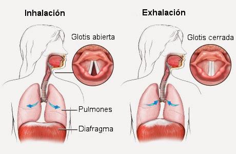 EL MEJOR REMEDIO PARA CURAR EL HIPO