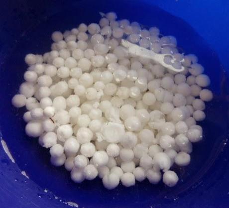Perlas de Japón, Crema de Toffes y Espuma de Capuccino Perlas de Japón, Crema de Toffes y Espuma de Capuccino