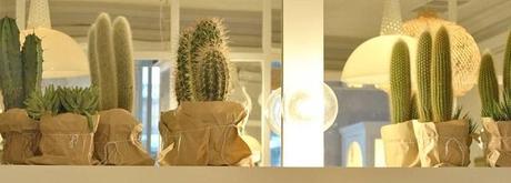 DRAY MARTINA, un must be draymartina2 DRAY MARTINA, un must be