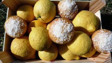 Magdalenas de coco y lemon curd Magdalenas de coco y lemon curd