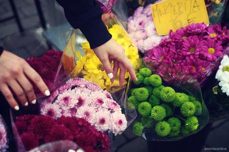 Fresh Flowers Flowers_fresh_kaotiko_spring-11