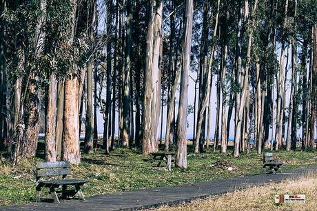El Puntal - Puerto y Playa de Villaviciosa El Puntal, Asturias