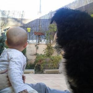 Miércoles mudo- ¿y tú qué miras? blog-de-bebes-miercoles-mudo