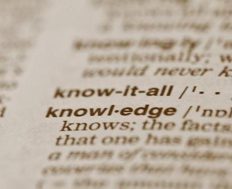 Los CKO, maestros en la gestión del conocimiento CKO, el jefe en la gestión del conocimiento dentro la organización