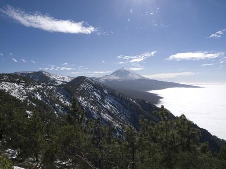 Parque Nacional del Teide OLYMPUS DIGITAL CAMERA