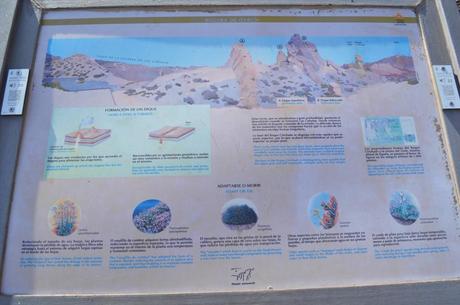 Parque Nacional del Teide DSC_0198