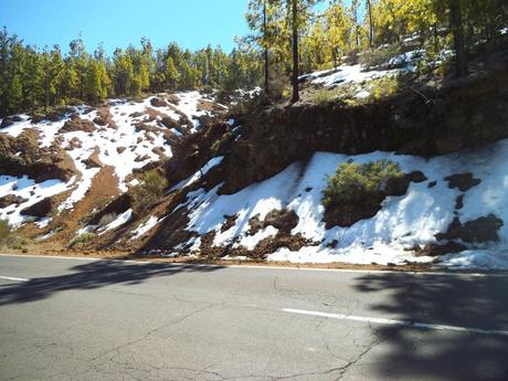 Parque Nacional del Teide DSCF0637
