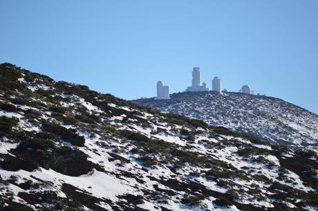 Parque Nacional del Teide DSC_0333