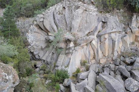Parque Nacional del Teide DSC_0209