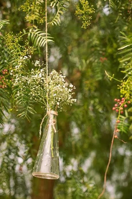 Decora con Paniculata Decora con Paniculata