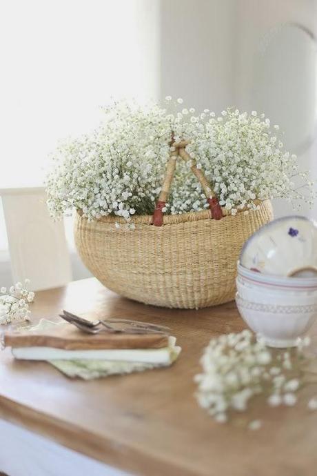 Decora con Paniculata Decora con Paniculata