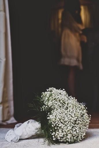 Decora con Paniculata Decora con Paniculata