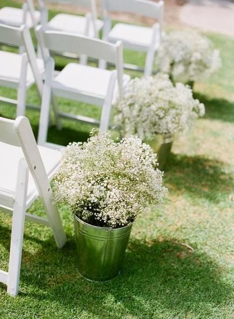 Decora con Paniculata Decora con Paniculata