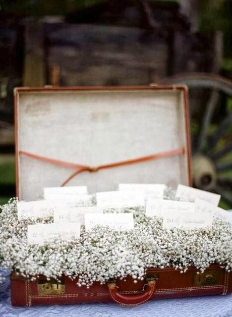 Decora con Paniculata Decora con Paniculata