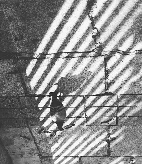 Black and White blackandwhite_photography_1