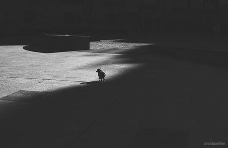 Black and White blackandwhite_photography_