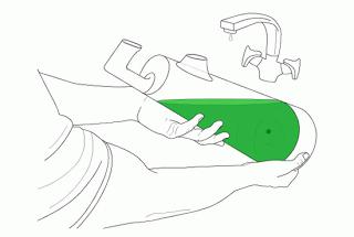 Ilumínate con algas Ilumínate con algas