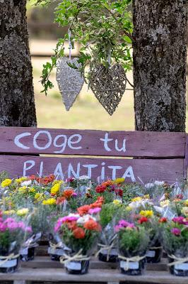 10 Ideas para una boda NO aburrida 10 Ideas para una boda NO aburrida